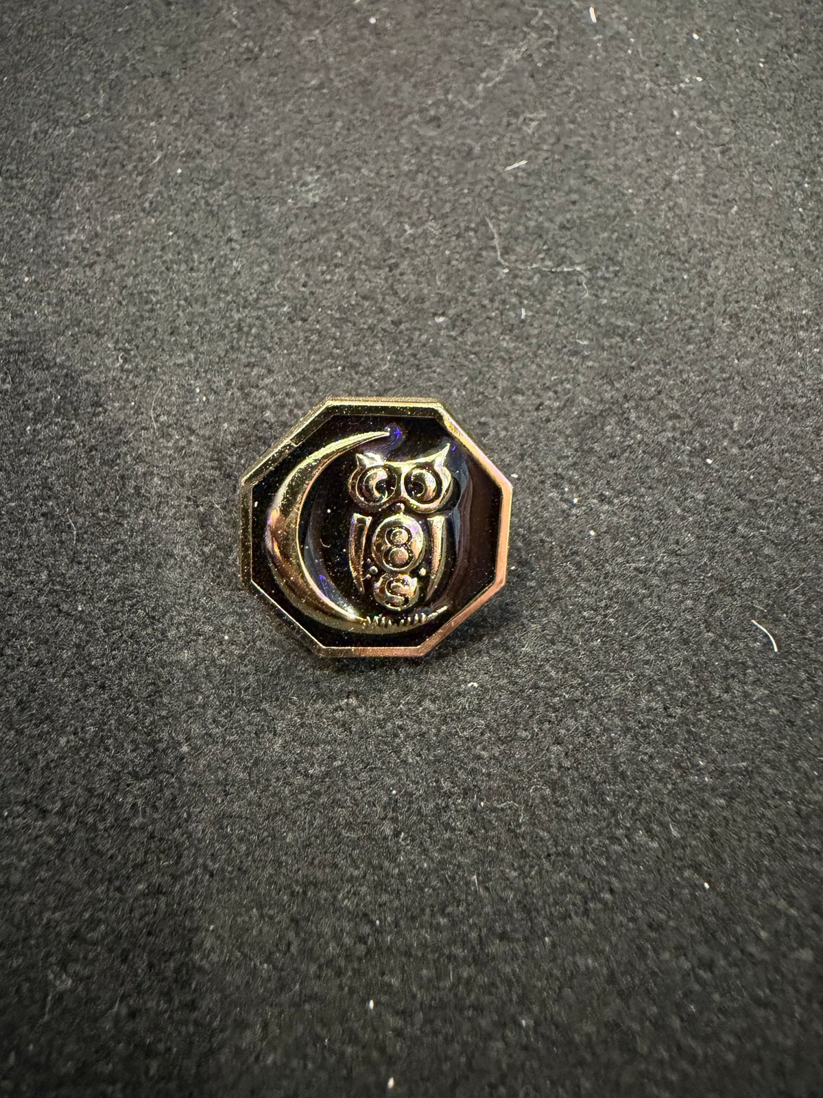 The Owl Pin